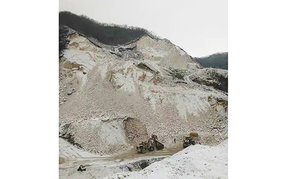 熱烈慶祝鞍山東盛源礦業有限公司網站正式成立！